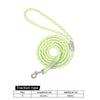 Reflective Nylon Dog Leash with Quick-Release Clip – 150cm