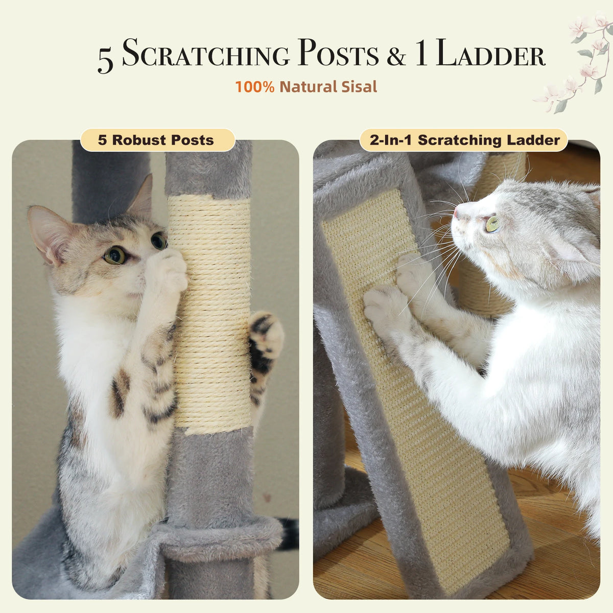A fluffy gray and white kitten is using a natural sisal scratching post and a two-in-one scratching ladder on a cat tree.