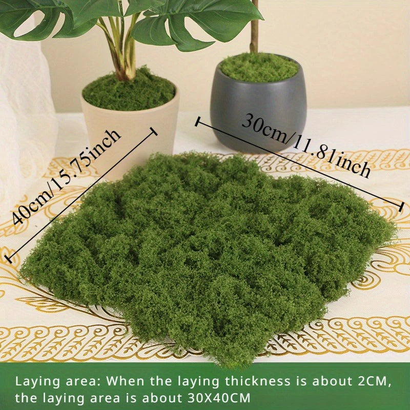 Natural Green Preserved Moss for DIY Crafts and Decor