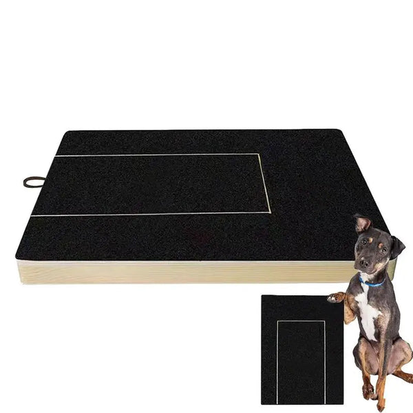 A wooden dog nail scratch board with a treat box and a dog sitting next to it.