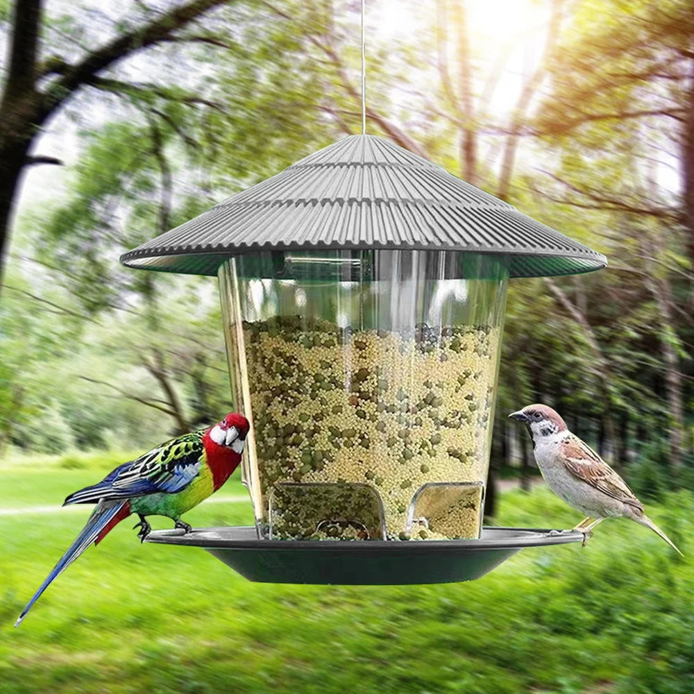 A window-mounted bird feeder with a clear viewing panel hangs, filled with seeds, near a bird.