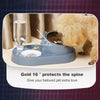 2-in-1 Pet Water Dispenser and Food Bowl
