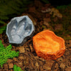 Natural Tree Stump Reptile Feeding and Water Bowl
