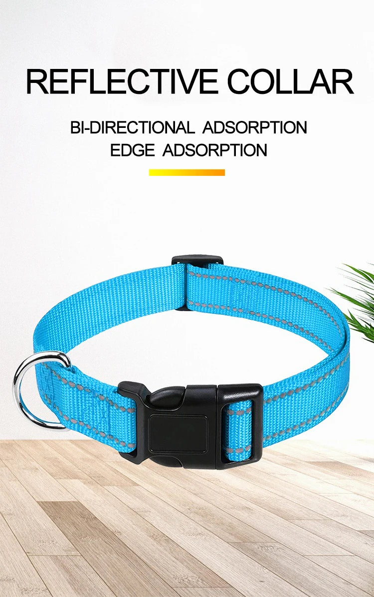 Decorative Nylon Dog Collar with Buckle Closure