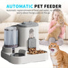 Cat and Dog Automatic Feeder with Spill Proof Water Fountain