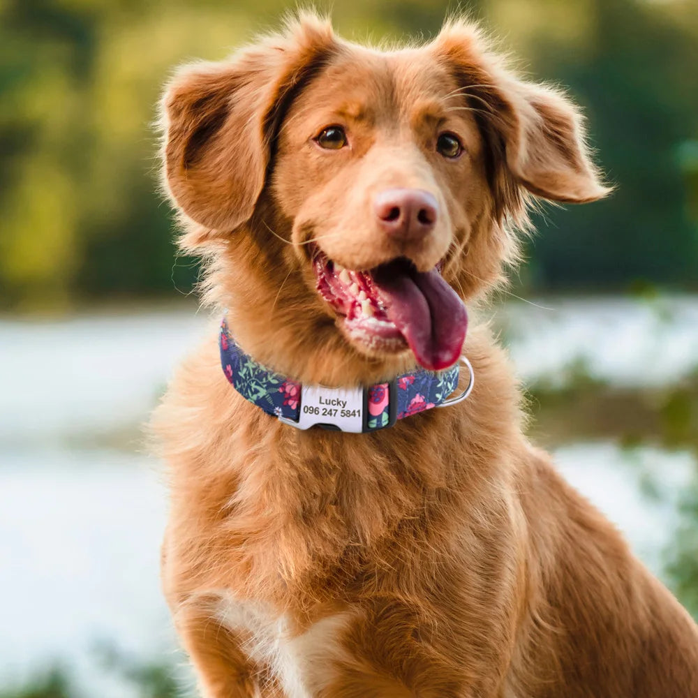 A happy, golden-colored dog with a pink tongue is wearing a blue floral print dog collar.