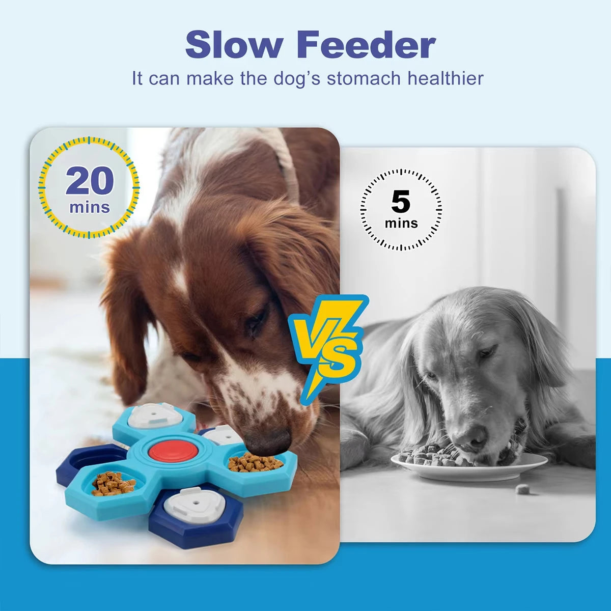 A puzzle feeder bowl for dogs is shown next to a dog, illustrating how it can make the dog's stomach healthier.