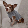Un petit chiot brun portant un pull tricoté gris assis sur une surface de tissu clair.