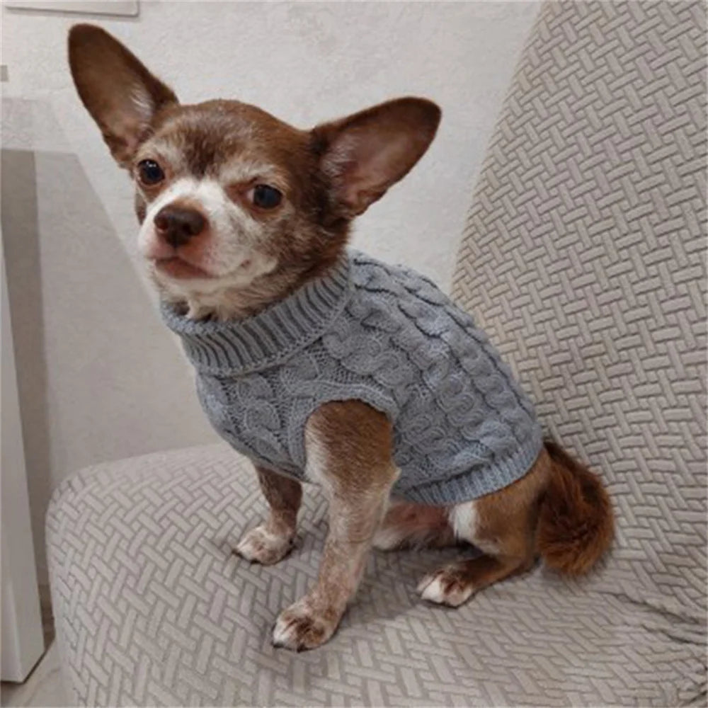Un petit chiot brun portant un pull tricoté gris assis sur une surface de tissu clair.