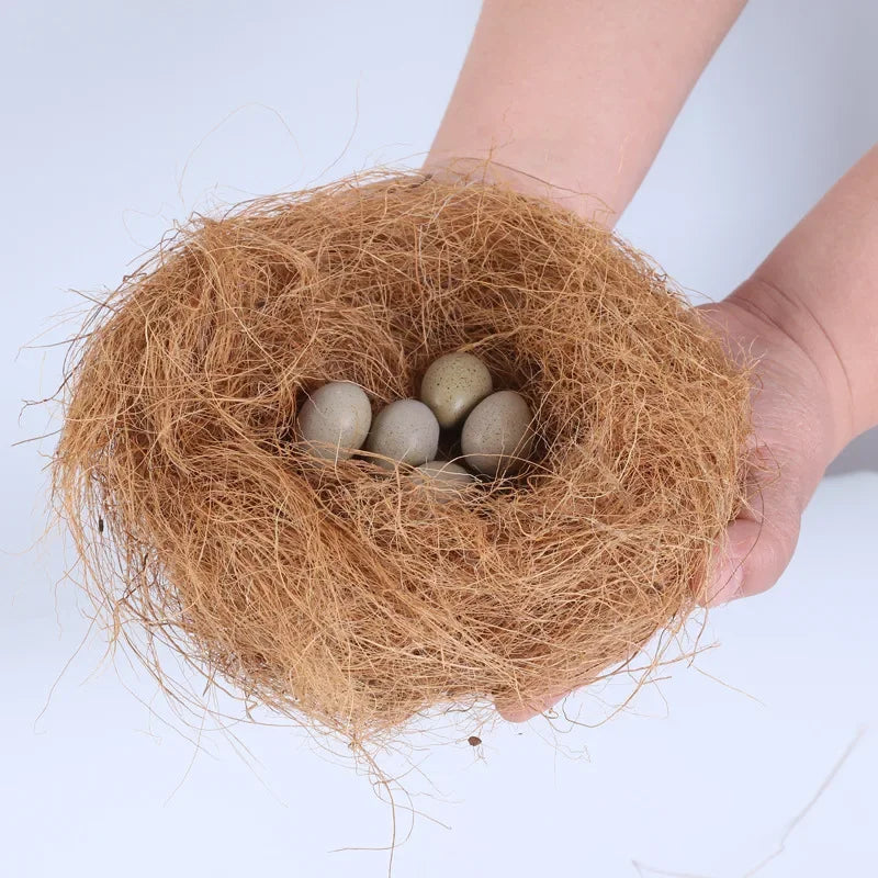 A hand holds a nest made of natural coconut fiber with several small, smooth eggs inside.