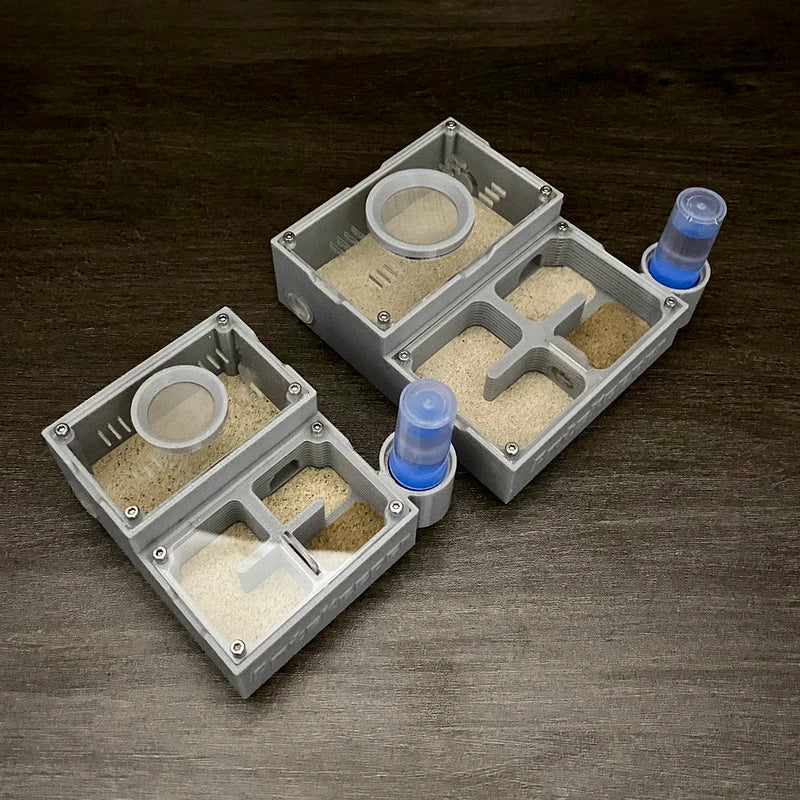 مزرعة النمل ذات الأربع أقسام مع غرف مستقلة