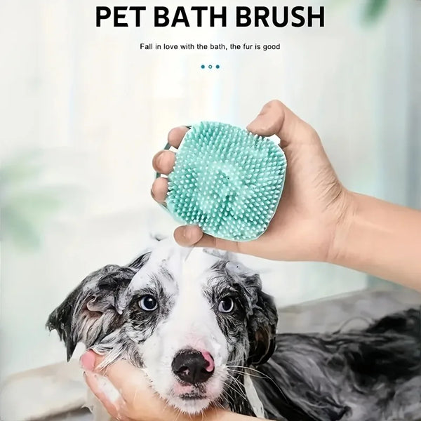 A hand holds a teal pet bath brush with bristles over the head of a dog.