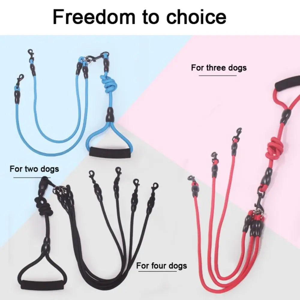 Three different colored dog leashes and couplers shown for walking two or four dogs.