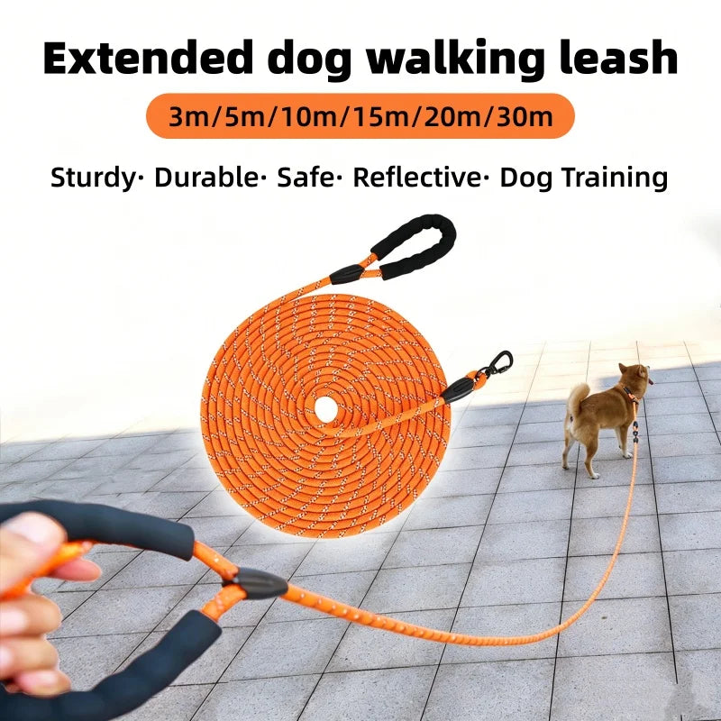 Orange extended dog walking leash coiled on a gray surface with a hand holding the strap.