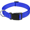 Decorative Nylon Dog Collar with Buckle Closure