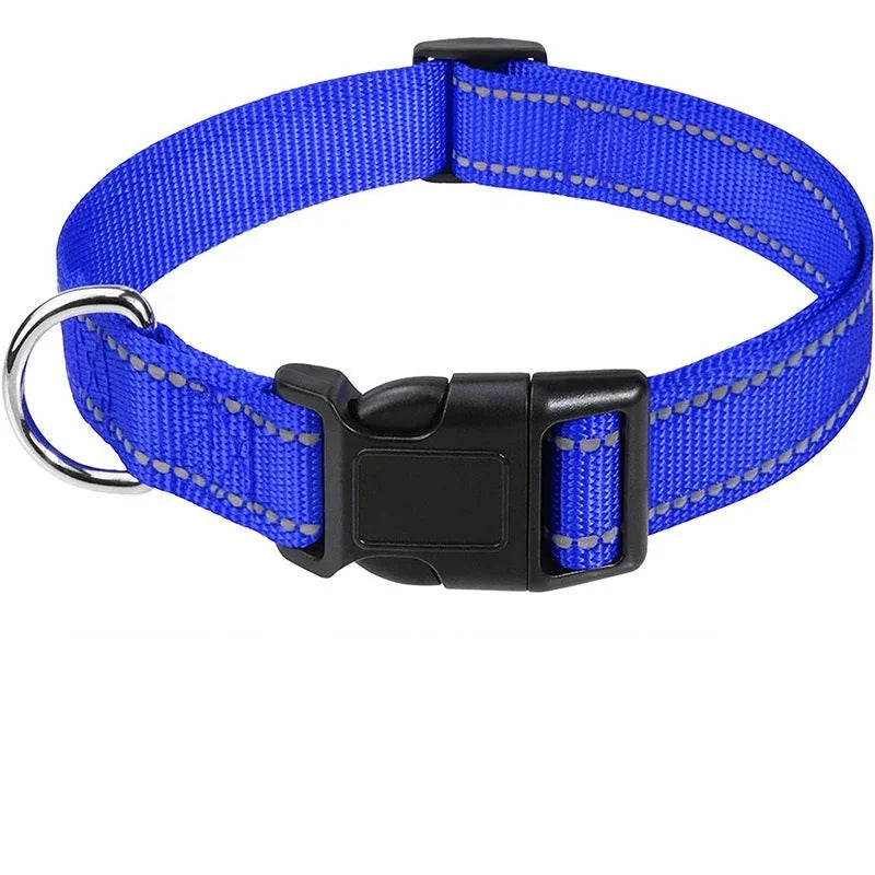 Decorative Nylon Dog Collar with Buckle Closure