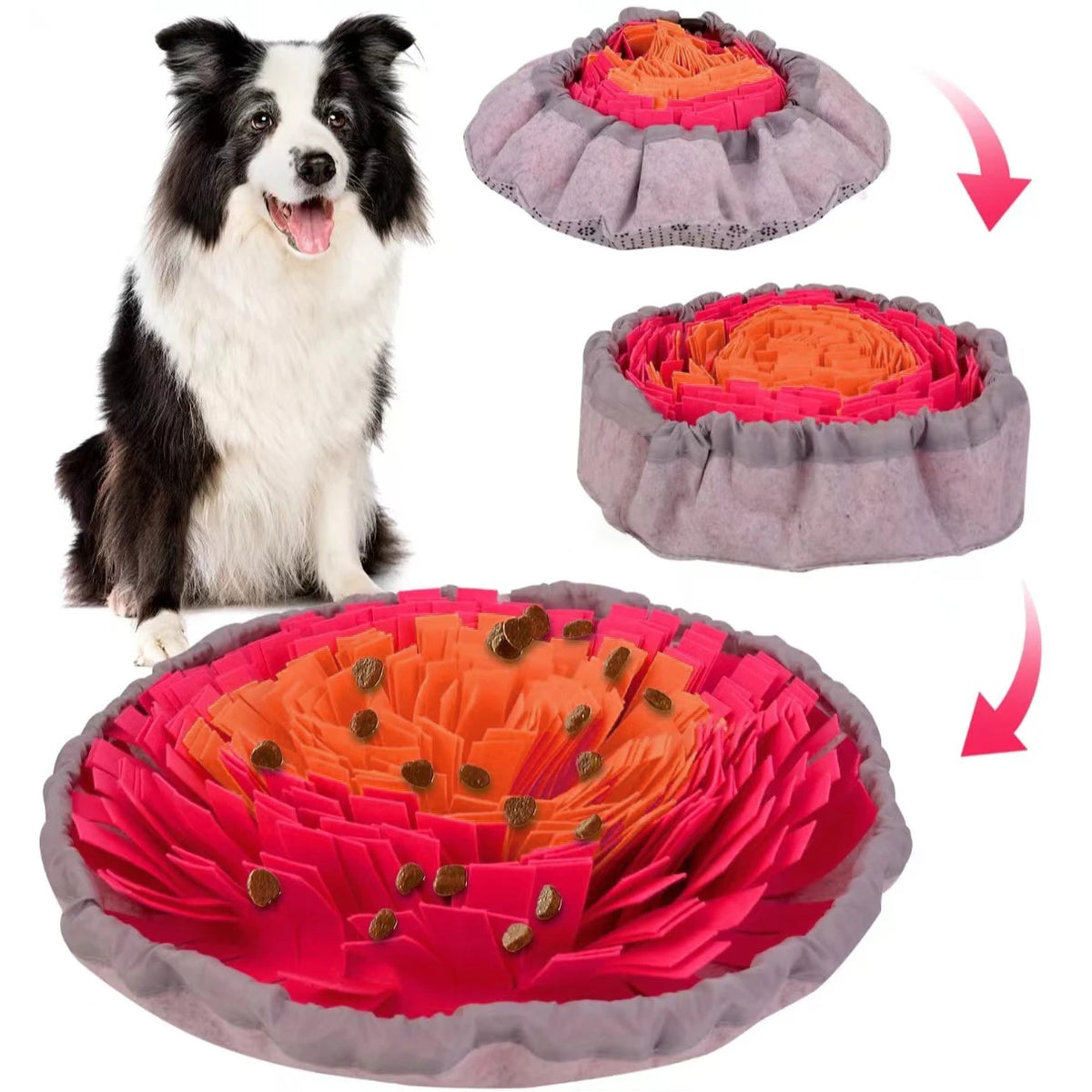 A black and white dog is shown next to three collapsible felt sniffing mats in pink, orange, and red.
