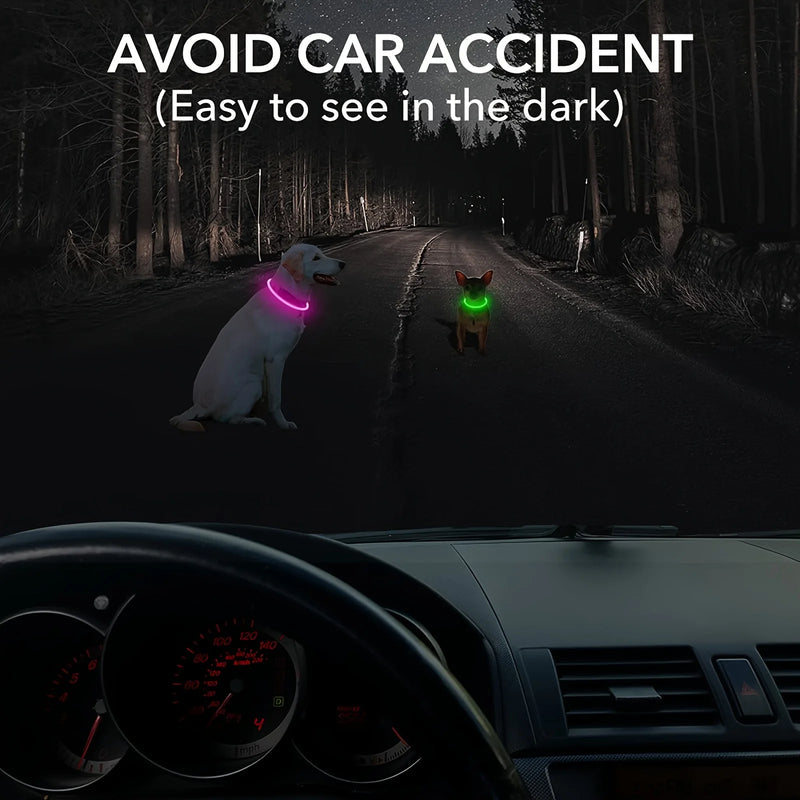 USB-wiederaufladbare LED-Hundehalsband