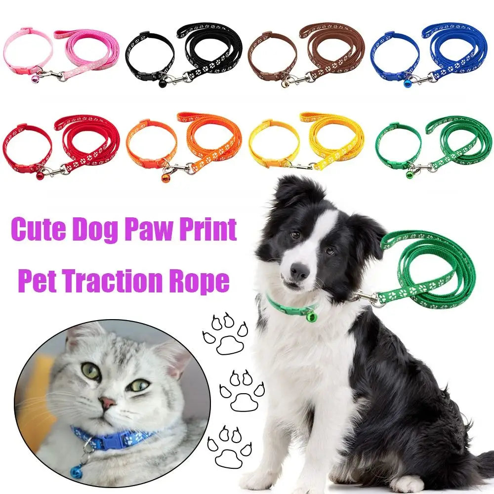 Various colored pet traction ropes and leads for dogs and cats shown next to two pets.