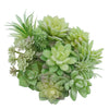 A cluster of green flocked artificial succulent plants with various textures and shapes.