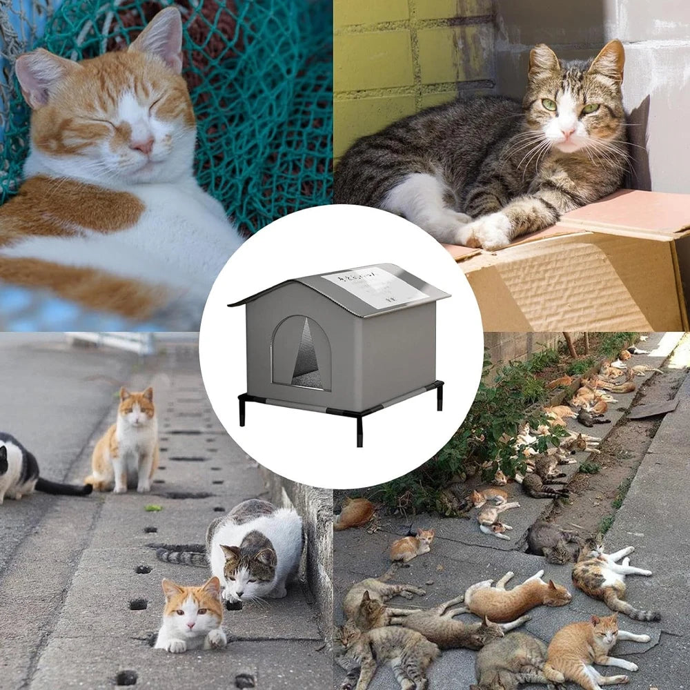 Un abri pour chats extérieur gris et imperméable à côté de plusieurs chats extérieurs.