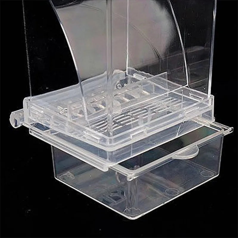 No-Spill Bird Feeder and Water Dispenser for Small to Medium Birds