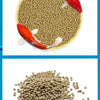Spirulina Floating Fish Food for Tropical & Coldwater Species