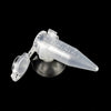 Clear Acrylic Aquarium Feeding Cup Ring Anti-drift Betta Fish Feeder