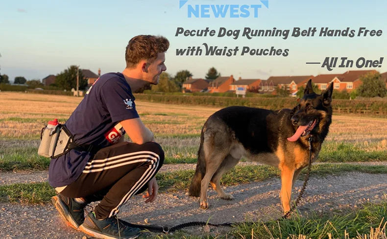 A man is walking a dog using a pet belt with waist pouches and a bungee leash in an outdoor field.