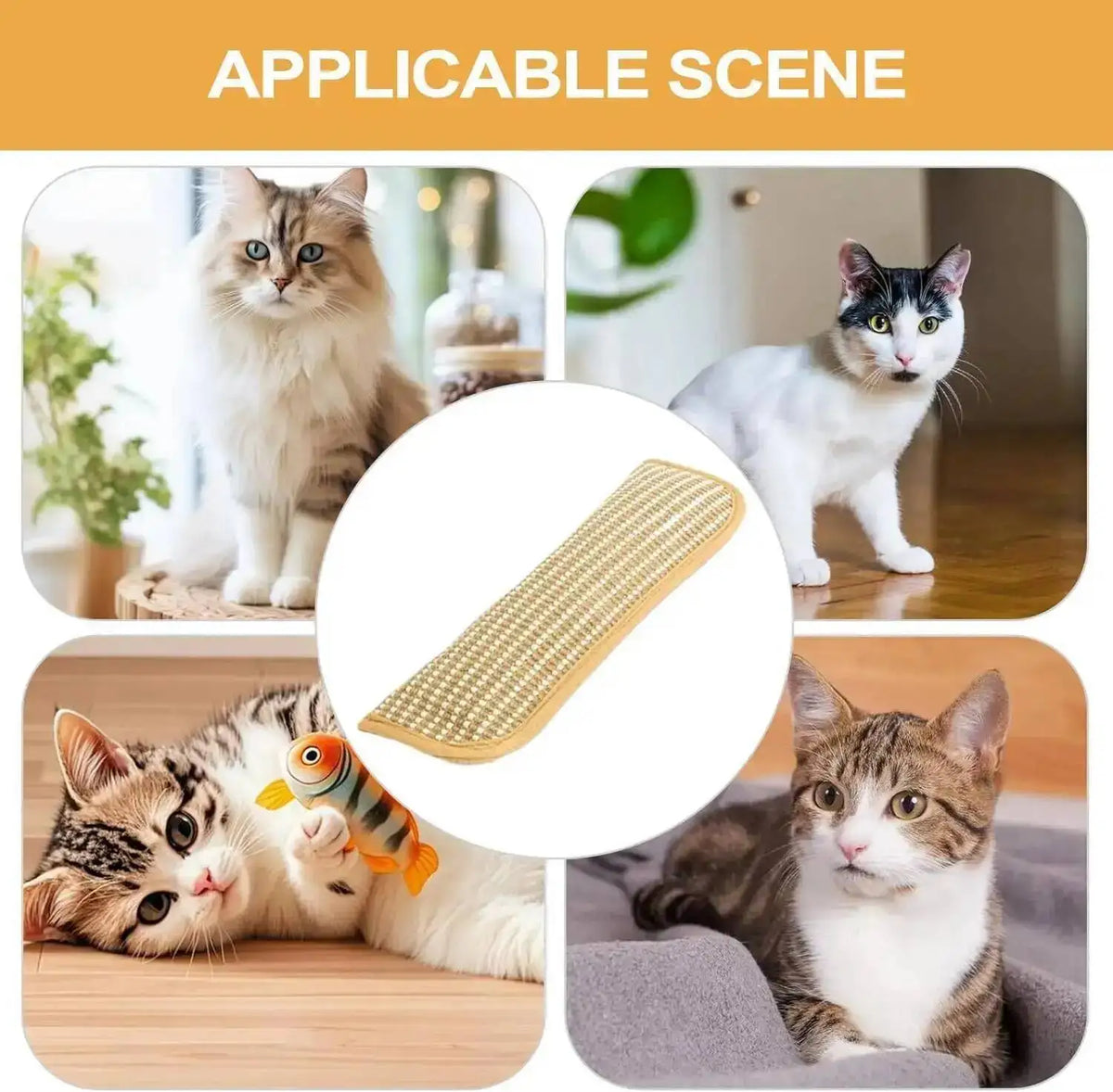 Eine Katze interagiert mit einem interaktiven Kratzspielzeug für Katzen.