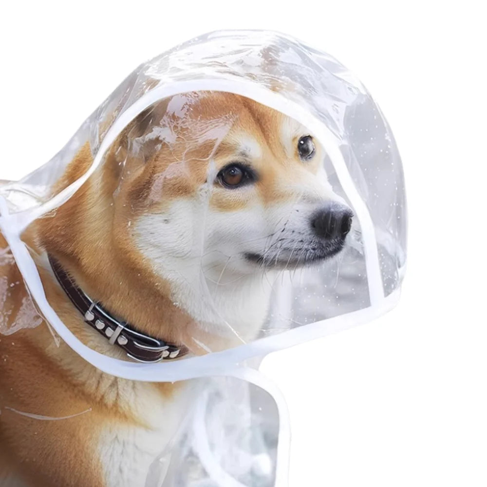 Transparent Waterproof Dog Raincoat for Medium to Large Dogs