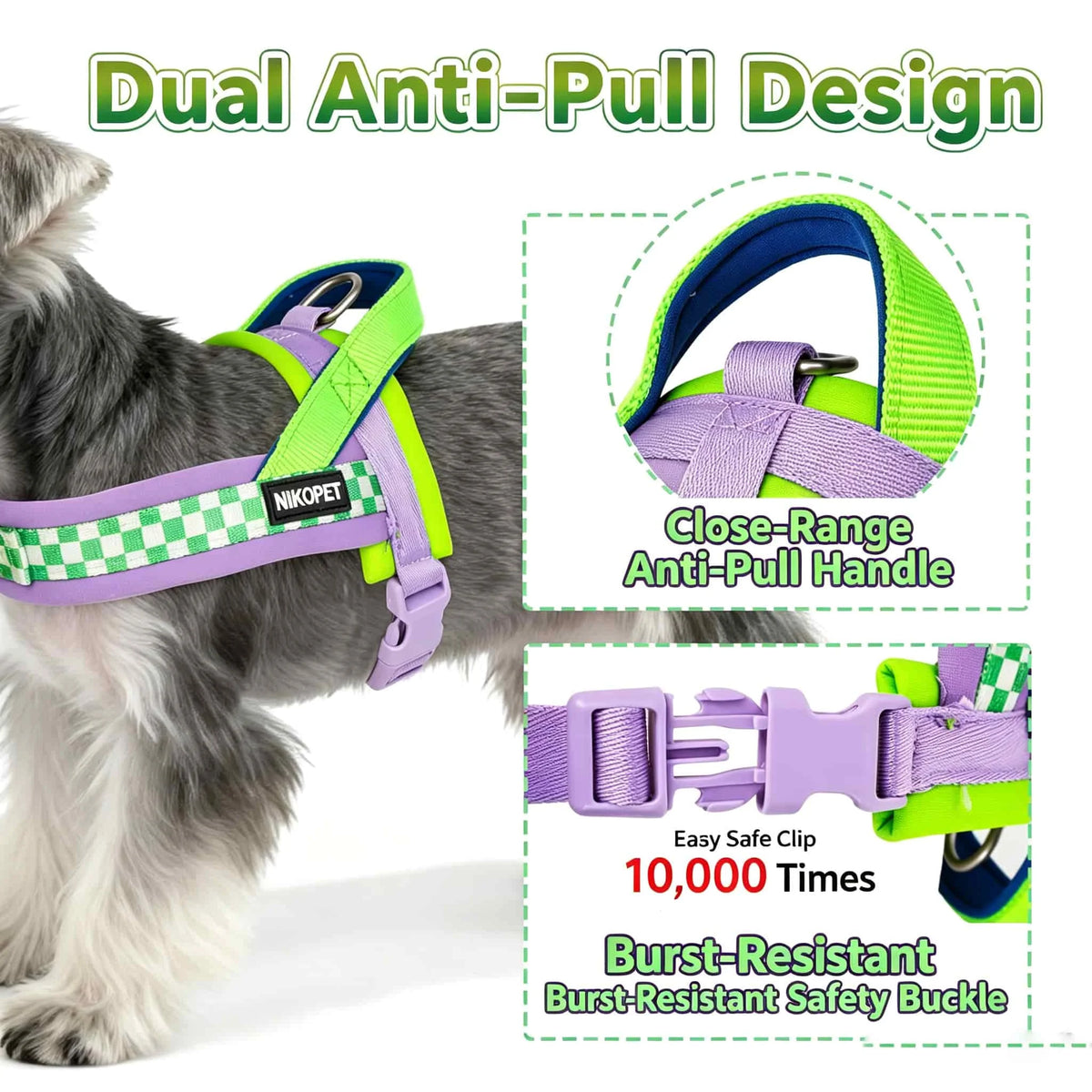 Quick-Release No-Choke Dog Harness with Dual D-Rings