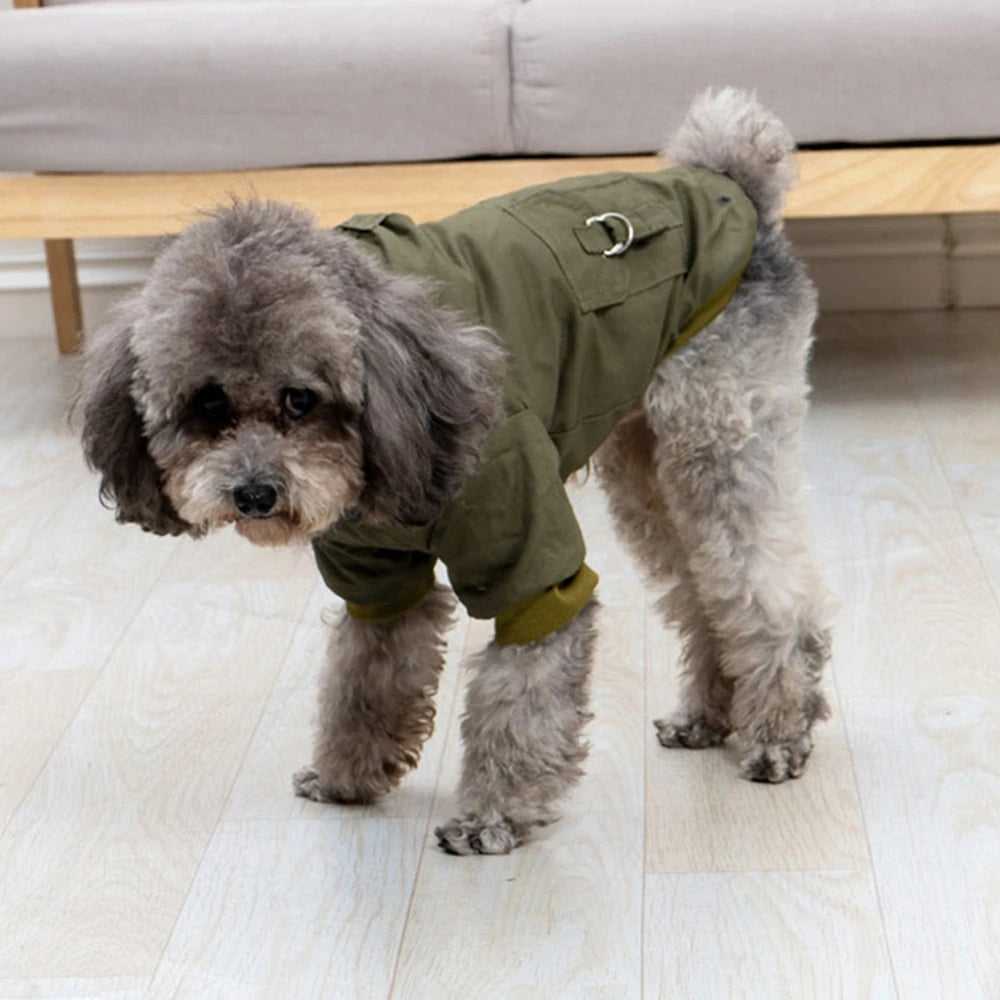 A small, fluffy dog wearing a olive green hooded winter jacket standing on a light wooden floor.