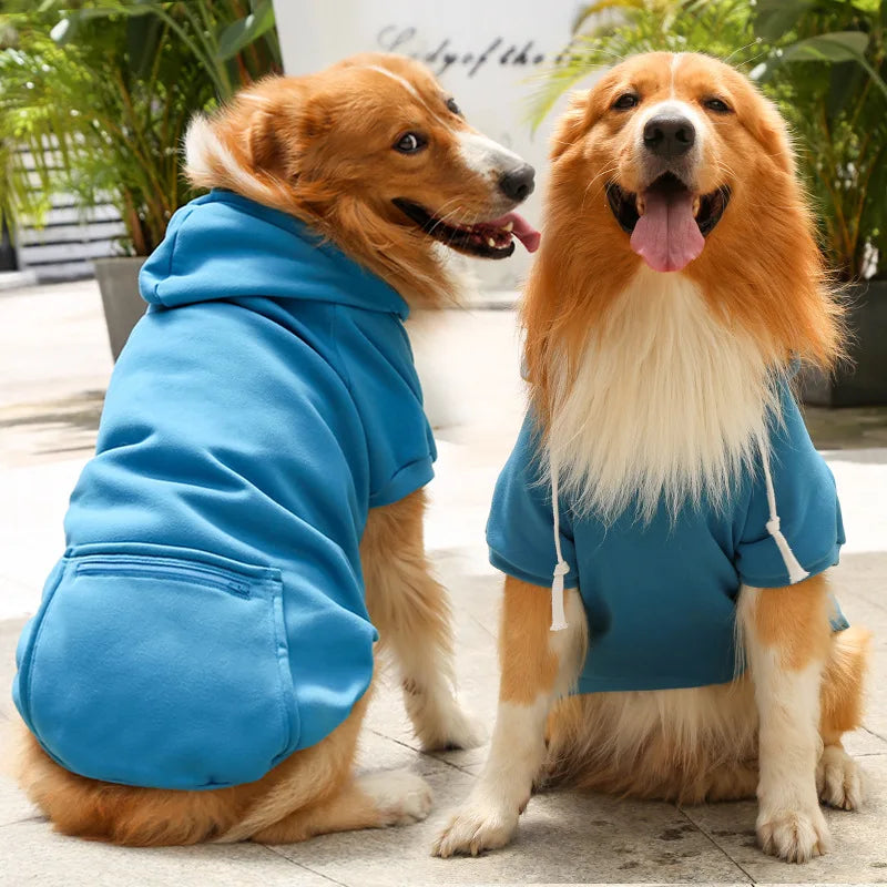 A golden retriever wearing a blue reversible plaid dog jacket with a cozy fleece lining.