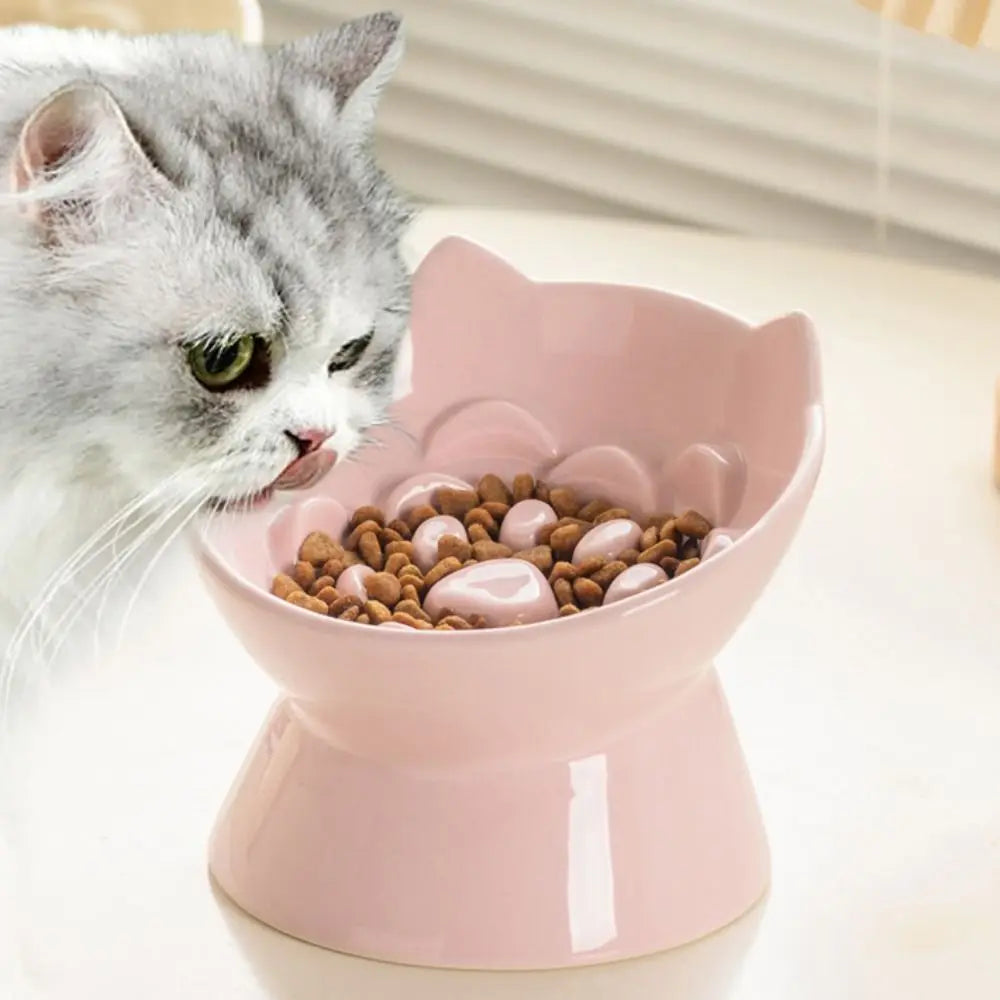 A fluffy gray cat is looking into a pink ceramic pet food bowl filled with dry kibble.