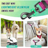 Dual Dog Leash with Shock-Absorbing Bungee (16 ft)