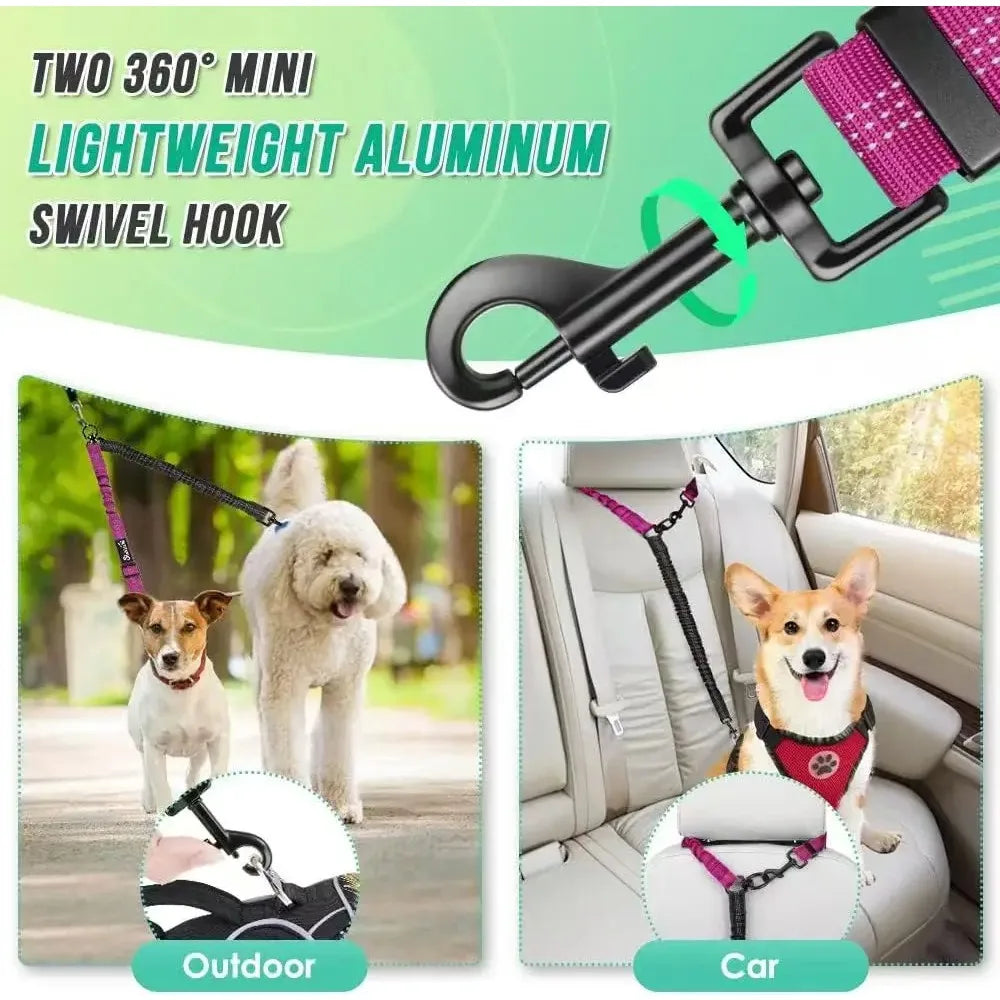 Dual Dog Leash with Shock-Absorbing Bungee (16 ft)