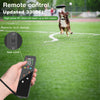 Dog Training Collar with Color Screen Remote & Anti-Bark Modes