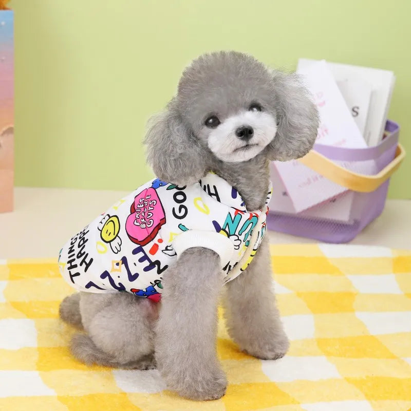 A gray dog wearing a colorful waterproof winter coat with an insulated lining sitting on a yellow checkered surface.