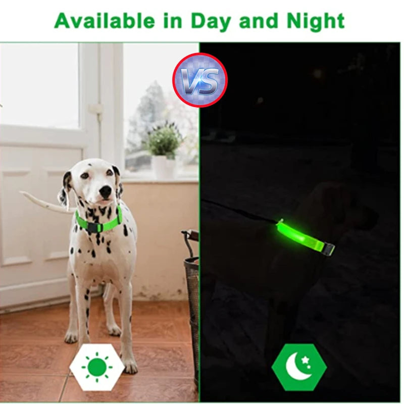 USB Charging Glowing Dog Collar with Pendant - Night Safety