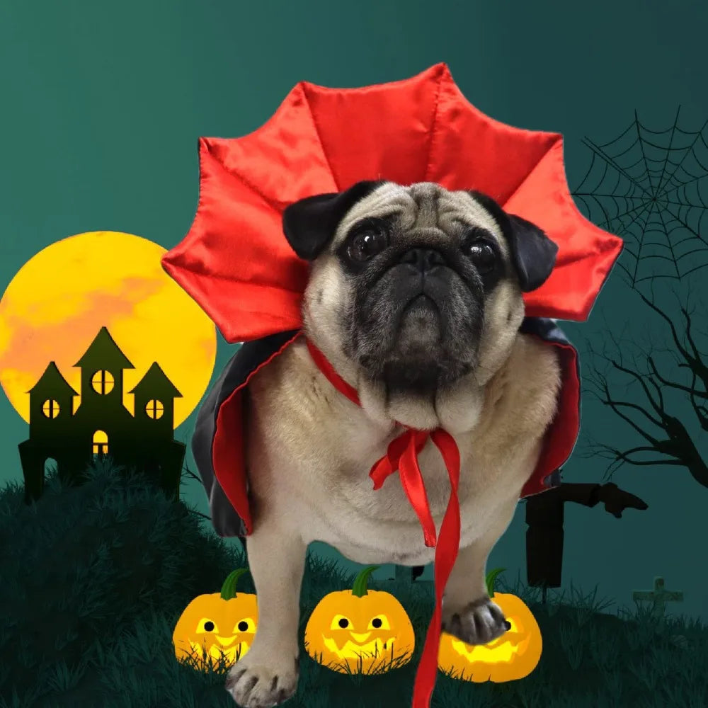 Vampire Cape Pet Costume for Cats and Small Dogs