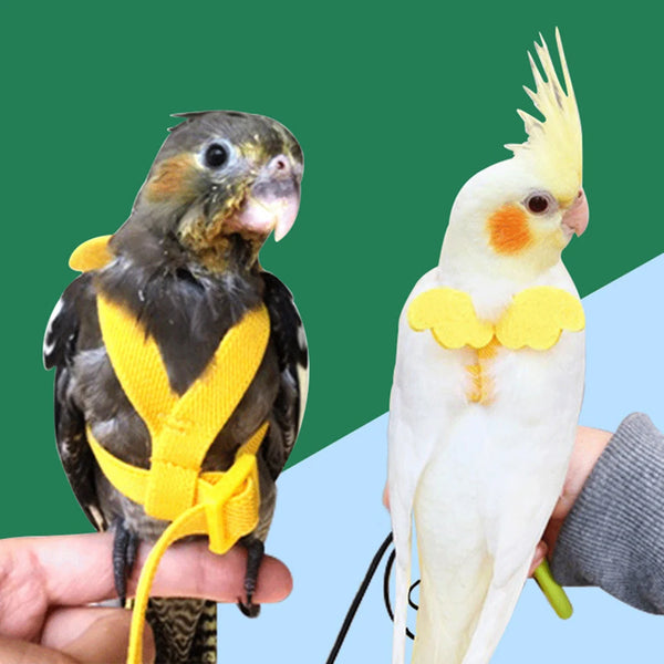 Verstellbares Papageiengeschirr mit Leine