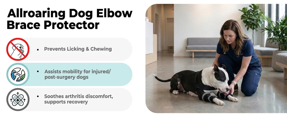 A woman gently applies an Allroaring Dog Elbow Brace Protector to a dog's front leg.