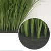 Close-up view of green onion grass plants growing in dark soil.