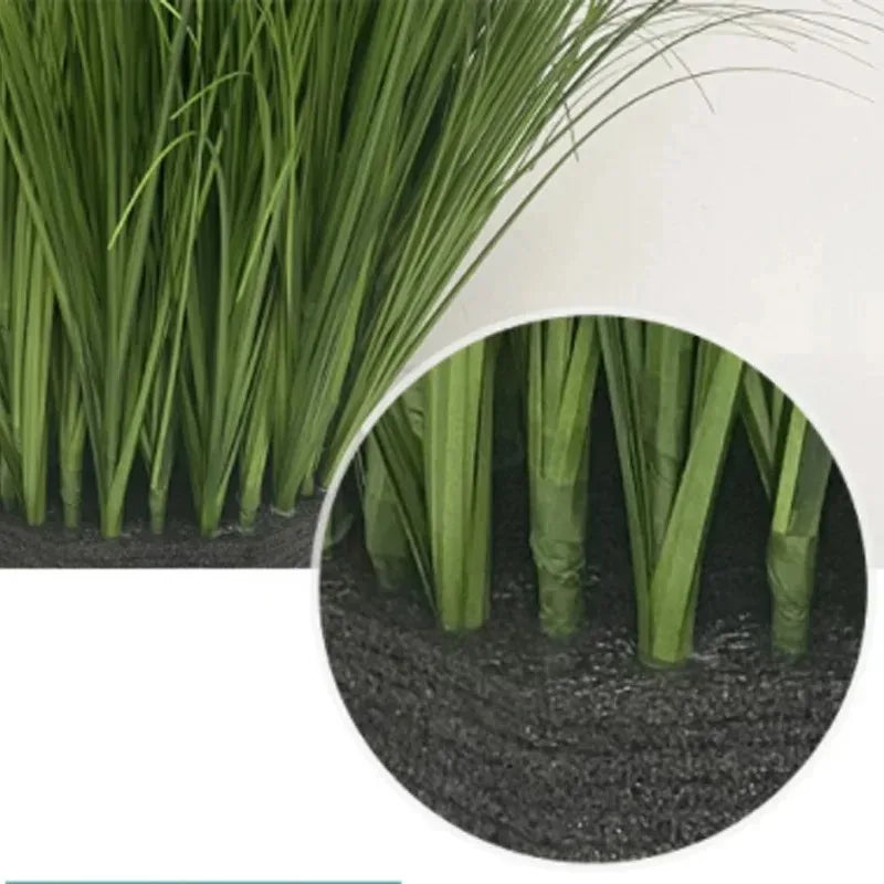 Close-up view of green onion grass plants growing in dark soil.