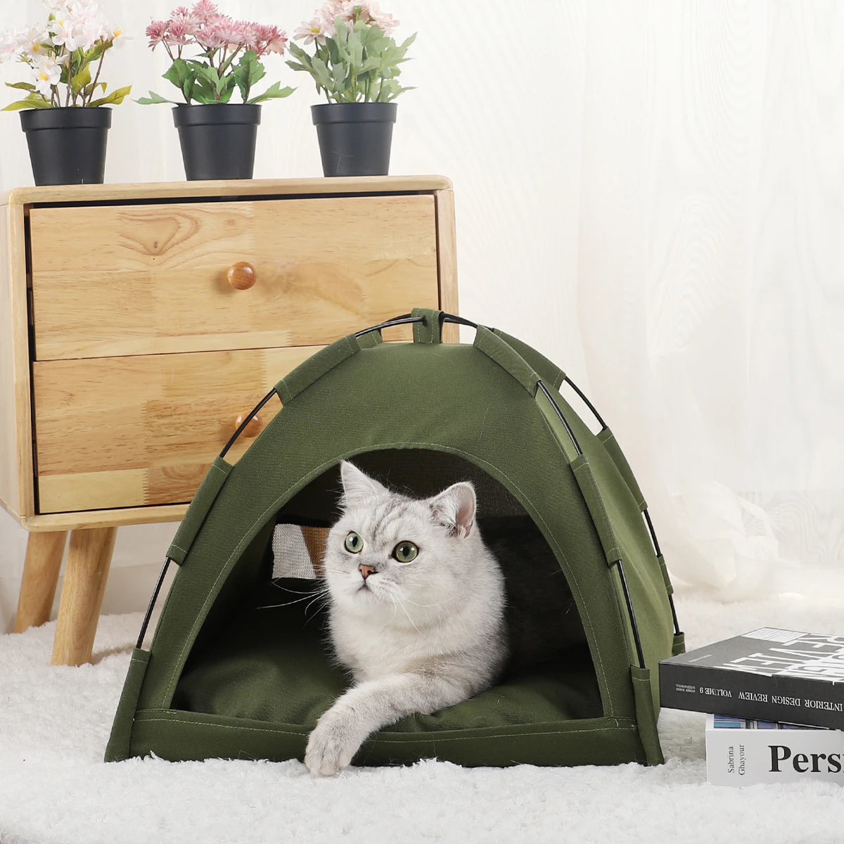 Un chat gris se détend dans un lit de tente en tissu vert sur une surface blanche.