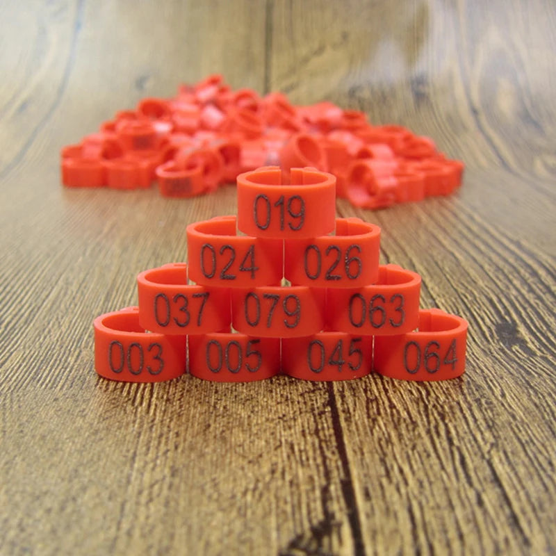 A pile of bright orange plastic bird identification foot rings arranged in a pyramid shape on a wooden surface.