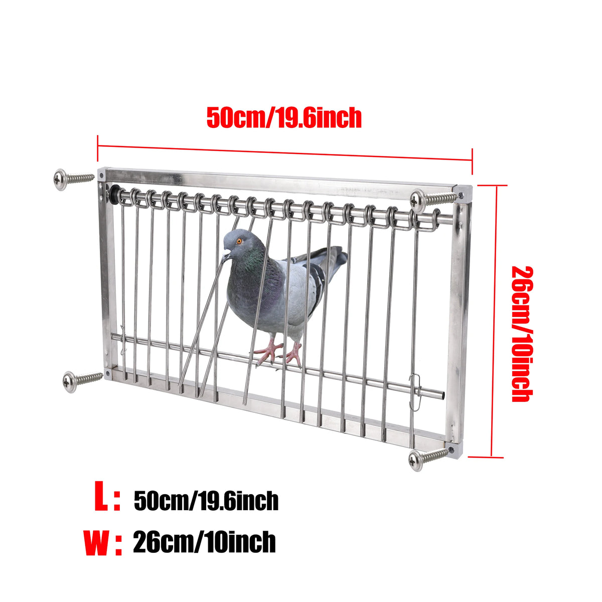 Stainless steel pigeon loft trap door with a grid design, measuring 50cm by 26cm.