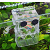 Cage d'isolement pour reproduction en aquarium