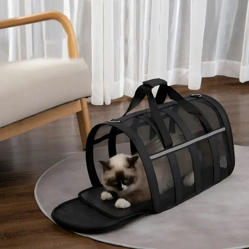 A small tabby cat is sitting inside a black foldable mesh pet carrier with a shoulder strap on a light gray mat.